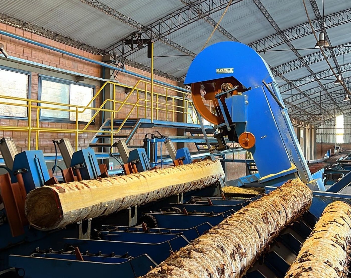 Paquetes de madera Clear producidos por Mader-Zu